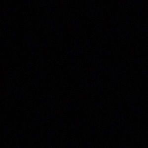 Meet your Posher, Randall